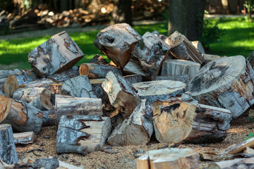 Wood split and chopped