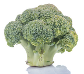 Fresh raw broccoli