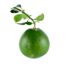 Green Grapefruit peel on white background