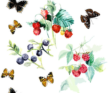Seamless berries and butterflies. Hand-drawing watercolor vector illustration.