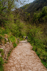 england derbyshire peak district national park valley of the river dove dovedale