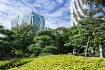 Foto op Plexiglas Tokyo Hama-rikyu Gardens © tostphoto