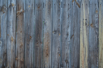 Background of wooden fence and green grass