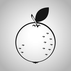 fruit icon
