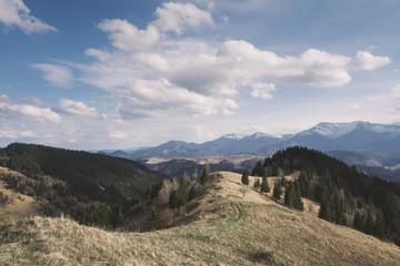 Spring landscape on a sunny day with mountains and forest