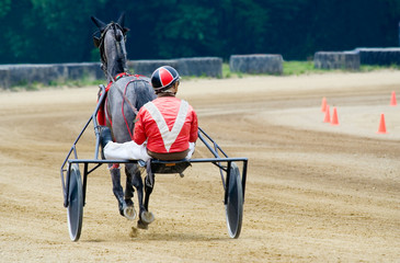 Fototapeta premium Harness Racer on the Track – A harness racer in his sulky on the track, preparing for a race.