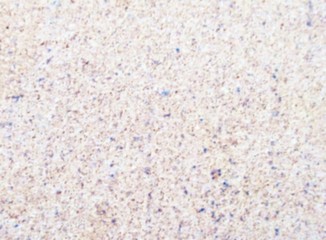 Cork board light brown white blurred texture background.