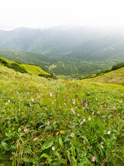 green mountain landscape covered with clouds