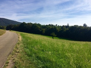 Der Weg durch die Natur