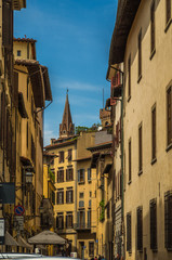 The historic buildings of Florence the birthplace of the Renaissance