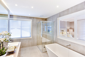 Fototapeta na wymiar Modern bathroom with a washbasin and shower area
