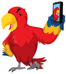 Red parrot taking selfie with phone