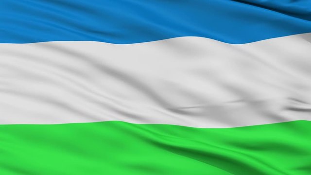 Republic of Molossia Micronation Flag, Close Up Realistic 3D Animation, Seamless Loop - 10 Seconds Long