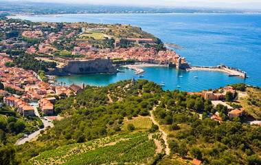 Naklejka na ściany i meble Collioure harbour, Languedoc-Roussillon, France, french catalan coast 