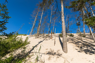 The moving dunes in the Slowinski National Park, Poland. The dun