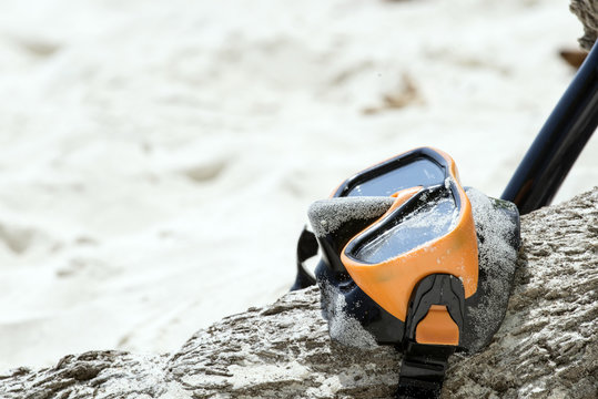 Diving Goggles and Snorkel Gear wood tree on white sand near bea
