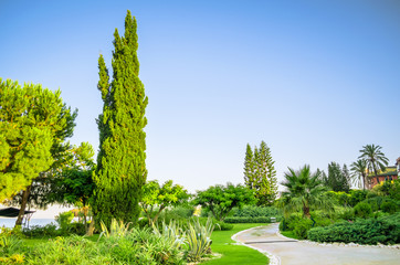 Tropical landscaping with planting and trees