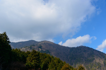 Fototapeta na wymiar 神奈川　丹沢山地　大山