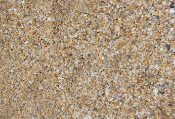 Background of sand made of broken sea shells