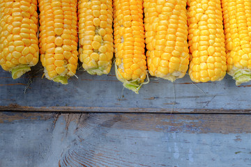 Fresh corn on cobs on rustic wooden table