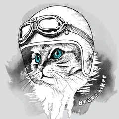 Fotobehang Afbeelding kattenportret in retro motorhelm. Vector illustratie. © Afishka