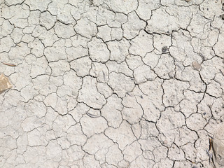 Closeup of Cracked earth