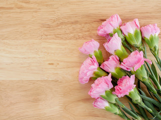 Sweet pink Carnation flower 4
