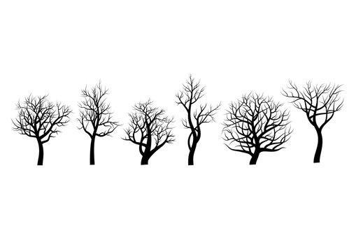 Set of trees sihlouette on white background