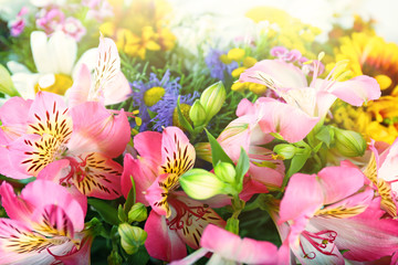 Fototapeta premium Beautiful flowers background