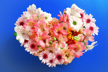 Composition of beautiful flowers in a heart shape on blue background