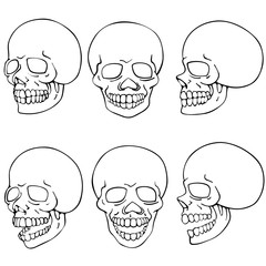 six action of sketched skull on transparent background
