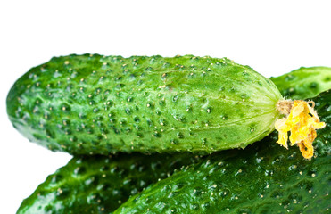 ..Fresh Cucumber isolated on white background.