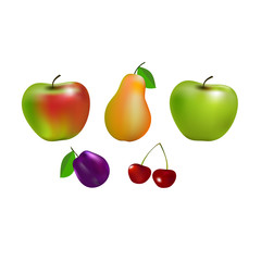Fresh fruit isolated on white background. Vector illustration.