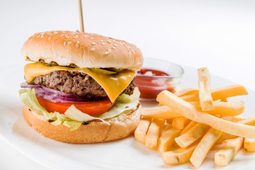 burger with french fries