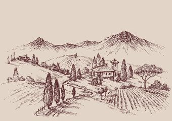 Vineyard sketch. Wine label design. Rural landscape drawing