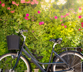 Fototapeta na wymiar Bicycle with green flower wall in background
