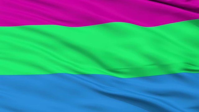 Polysexual Pride Flag, Close Up Realistic 3D Animation, Seamless Loop - 10 Seconds Long