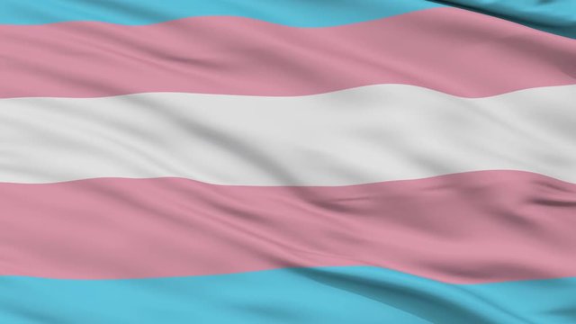 Trans Flag Images – Browse 23,290 Stock Photos, Vectors, and Video