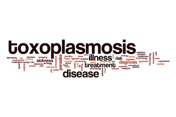 Toxoplasmosis word cloud concept