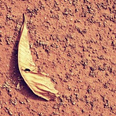 Dry chestnut leaf on tennis court. Dry red crushed surface