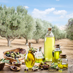 Olive oil and berries are on the wooden table under the olive tr