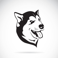 Vector of a dog siberian husky on white background.