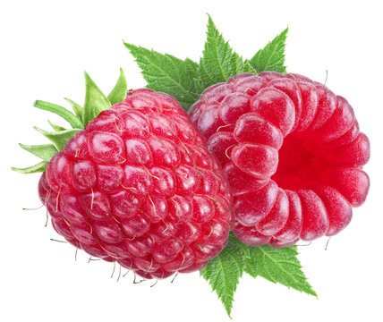 Two ripe raspberry fluits. File contains clipping paths.