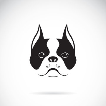 Vector of a dog face on a white background. Bulldog