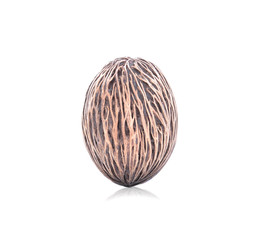 Fototapeta premium Suicide tree seed, Pong pong seed or Othalanga,Cerbera oddloam's