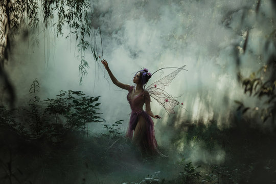 Fantastic photo shoot with smoke. Fairy Coquette walking in the fog. Background fairy forest, vines and trees. Unusual fabulous looks, purple dress and torn wings. Fancy toning.