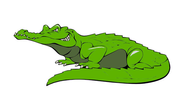 crocodile