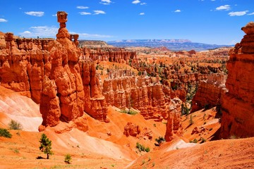 Bryce Canyon National Park hoodoos with the famous Thor's Hammer, Utah, USA - Powered by Adobe