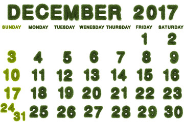Calendar for December 2017 on white background,3d rendering green grass