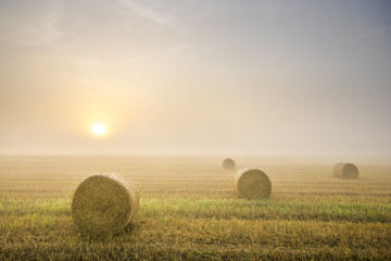 Wschód słońca w mglisty poranek nad polem po żniwach,snopki słomy na ściernisku © Mike Mareen